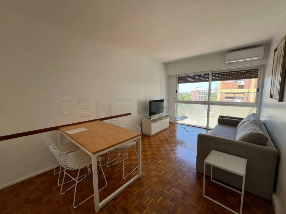 Departamento de 2 ambientes en Palermo Chico, foto 2