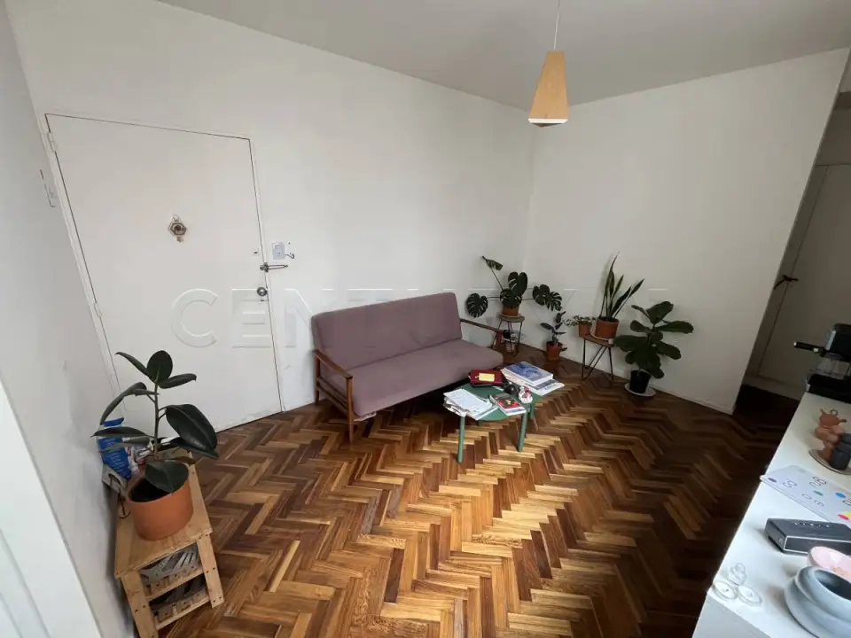 Departamento de 2 ambientes en Colegiales, foto 3