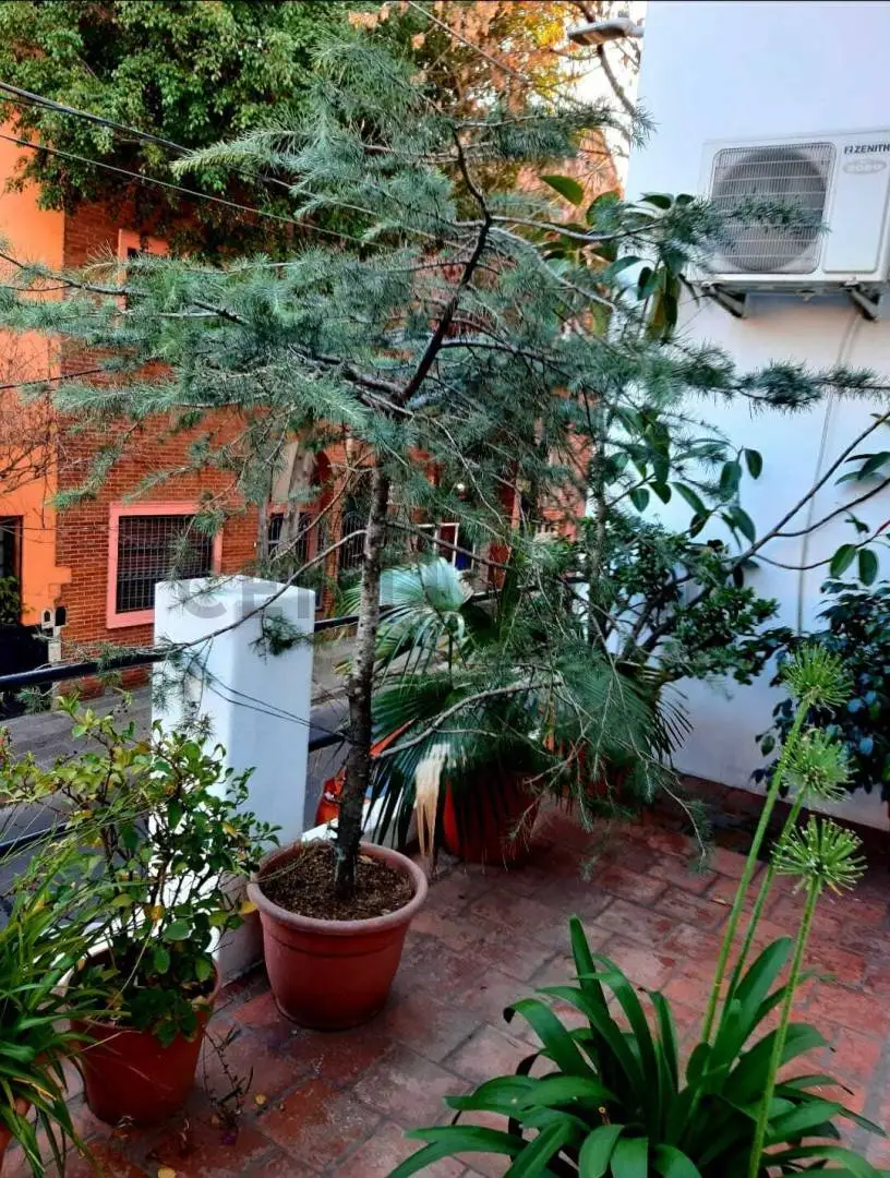 Casa de 4 ambientes en Parque Chacabuco, foto 2